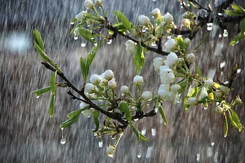 پیش‌بینی بارش‌های رگباری در آذربایجان‌شرقی