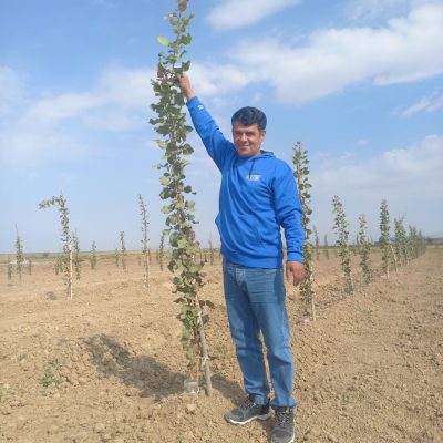 مردی که آذربایجان را با دانههایش سبز میکند