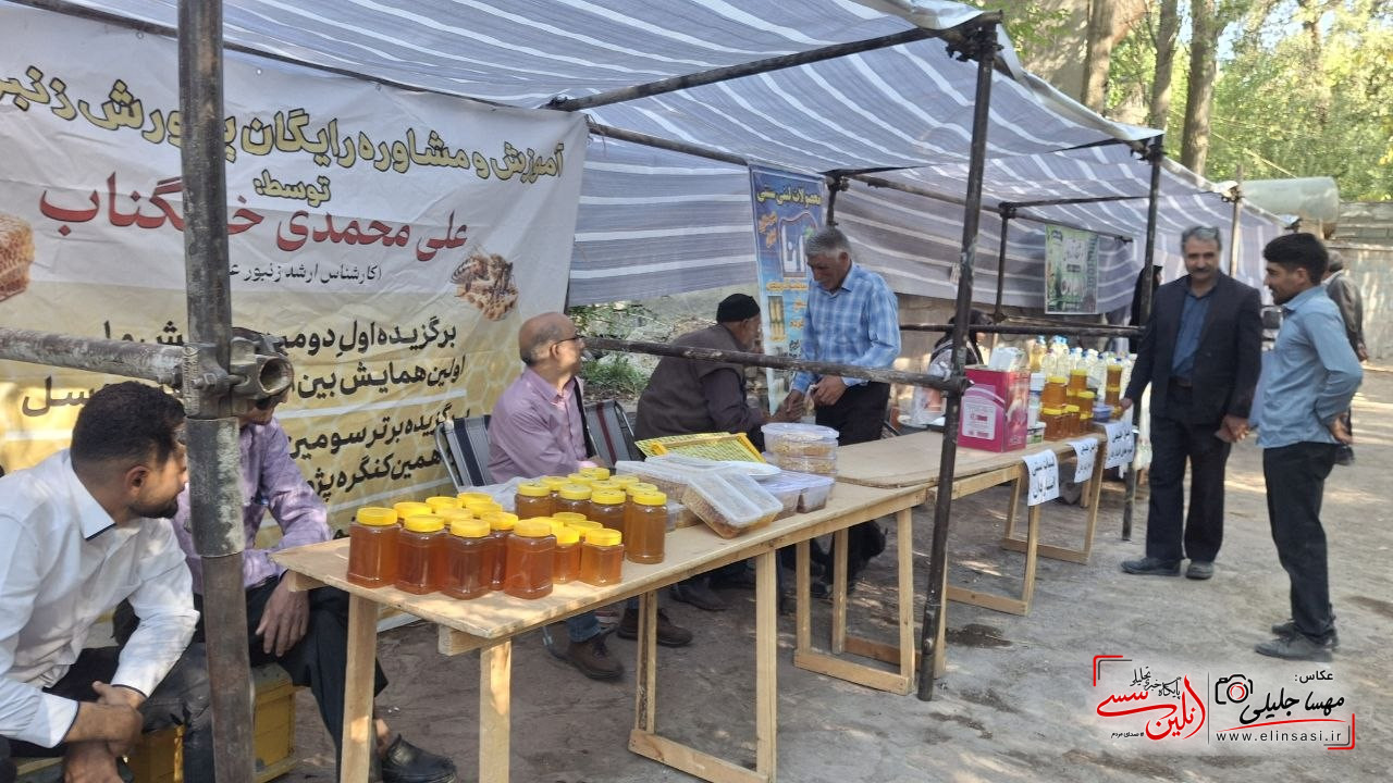 شهریار از دل این خانه کاهگلی جهانی شد